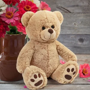 Brown Teddy Bear Stuffed Animals, 12''